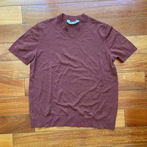 Everlane Luxe Sweater Merino Tee